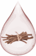 Licorice