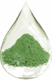 green-clay