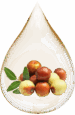jojoba
