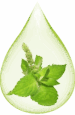 pipper-mint