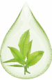 tea-tree