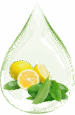 verbena-lemon (1)