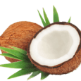 coconut 2